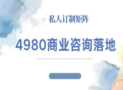 4980商业咨询师落地课程-ip运营高客单教程-沈臣知识库