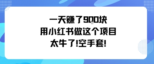 一天挣了9张用小红书做这个项目太牛了，空手套-沈臣知识库