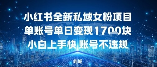 小红书全新私域女粉项目单账号单日变现多张，小白上手快账号不违规建议准备多账号操作-沈臣知识库
