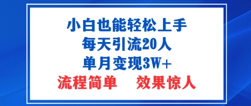 小白也能轻松上手的宝妈项目，每天引流20人，单月变现3W+，流程简单，效果惊人-沈臣知识库
