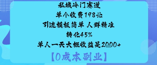 私域冷门赛道:单个收费198米引流模板简单人群精准转化45%单人一天大概收益是1k+-沈臣知识库