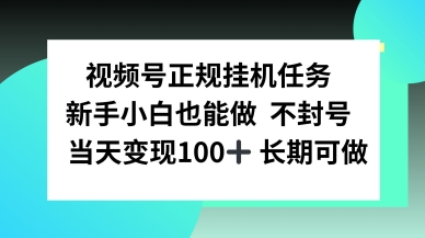 视频号正规挂播任务，有手就行不违规，轻松日入1张-沈臣知识库