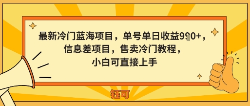 最新冷门蓝海项目，单号单日收益多张，信息差项目，售卖冷门教程，小白可直接上手-沈臣知识库