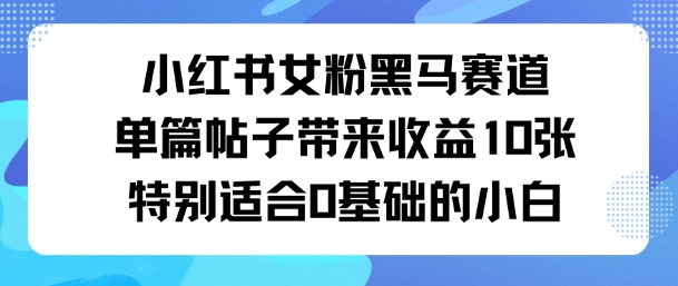 小红书女粉黑马赛道单篇帖子带来收益10张特别适合0基础的小白-沈臣知识库