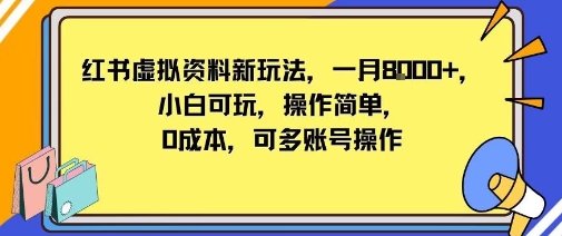 小红书虚拟资料新玩法，一月8k+小白可玩，操作简单-沈臣知识库