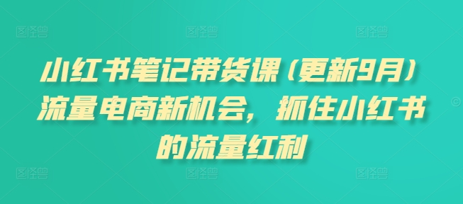 小红书笔记带货课(更新25年9月)流量电商新机会，抓住小红书的流量红利-沈臣知识库
