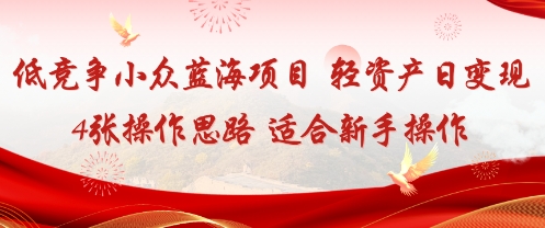低竞争小众蓝海项目,轻资产日变现4张的操作思路适合新手操作-沈臣知识库