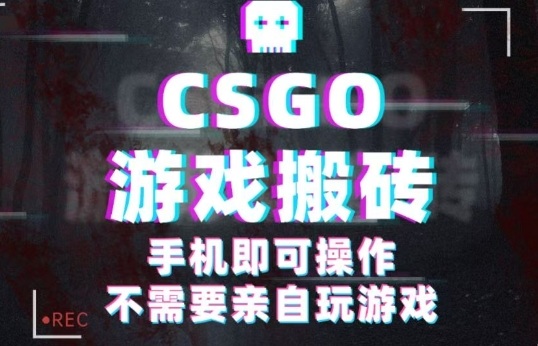 CSGO游戏挂G捡漏，单日扫货5张+，年底小高峰上车可吃肉，手机即可操作，兼职副业创业网创【揭秘】-沈臣知识库