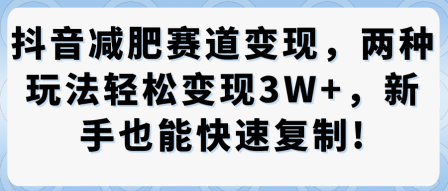 抖音减肥赛道变现，两种玩法轻松变现3W+，新手也能快速复制-沈臣知识库