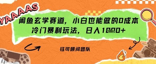 闲鱼玄学赛道，小白也能做的0成本冷门暴利玩法，日入多张-沈臣知识库