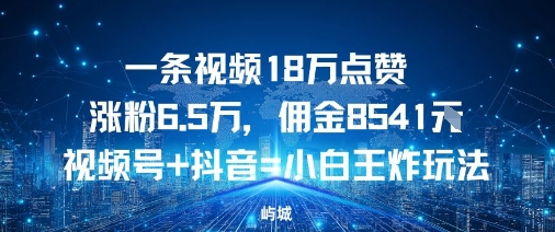 一条视频18W点赞涨粉6.5W,佣金8541视频号+抖音=小白王炸玩法-沈臣知识库