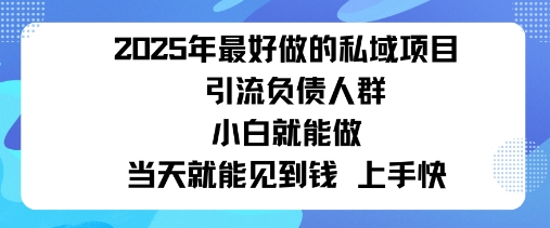 2025私域风口：盯紧负债群体，变现猛，不挑人，有手就行当天见钱-沈臣知识库