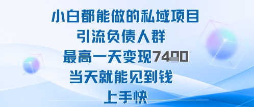 2025年小白都能做的私域项目引流负债人群最高一天变现1k+高变现难度低当天就能见到钱上手快-沈臣知识库