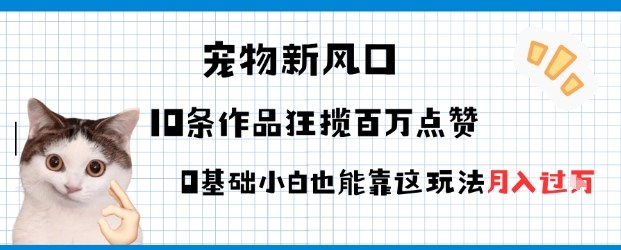 宠物粉暴利新风口0基础小白也能靠这套玩法月入过W-沈臣知识库