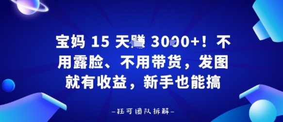 宝妈15天賺3k+！不用露脸、不用带货，发图就有收益，新手也能搞-沈臣知识库