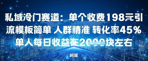 私域冷门赛道：单个收费198米引流模板简单人群精准转化率45%单人每日收益在1k+-沈臣知识库