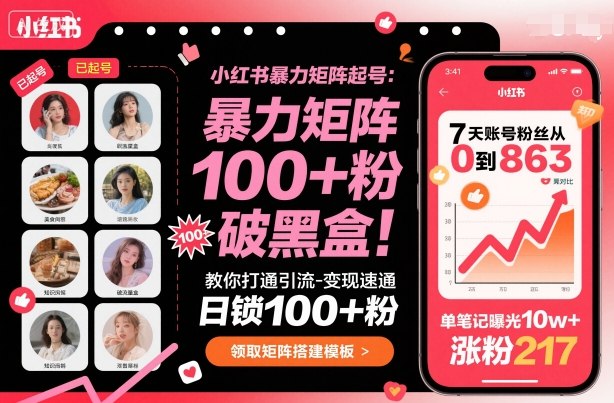 小红书暴力矩阵起号，教你打通引流-变现速通，日锁100+粉，破流量黑盒-沈臣知识库