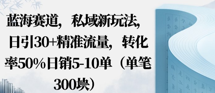 蓝海赛道，私域新玩法，日引30+精准流量，转化率50%日销5-10单（单笔3张）-沈臣知识库